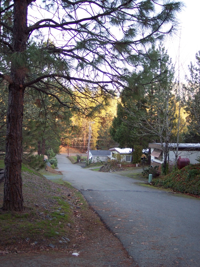 East Evans Creek Estates in Rogue River, OR